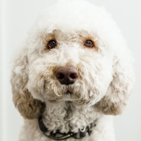 * SALE* - Picture 1 of 3